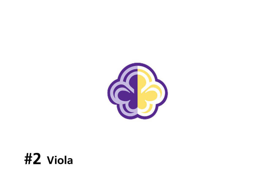 Viola