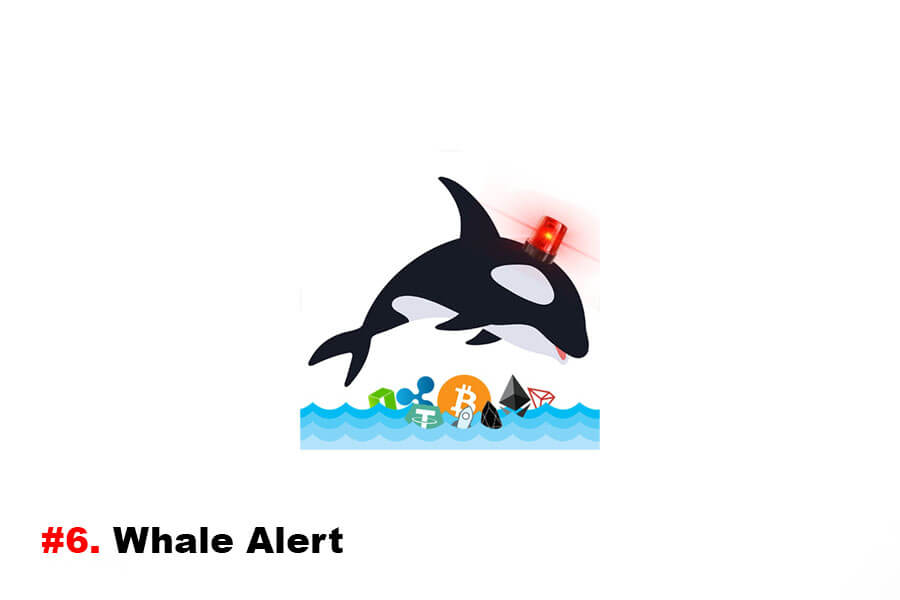 Whale Alert