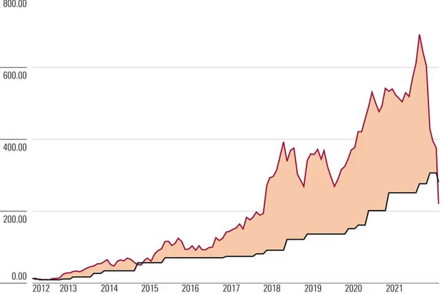 Investment In Growth Of The Subscribers